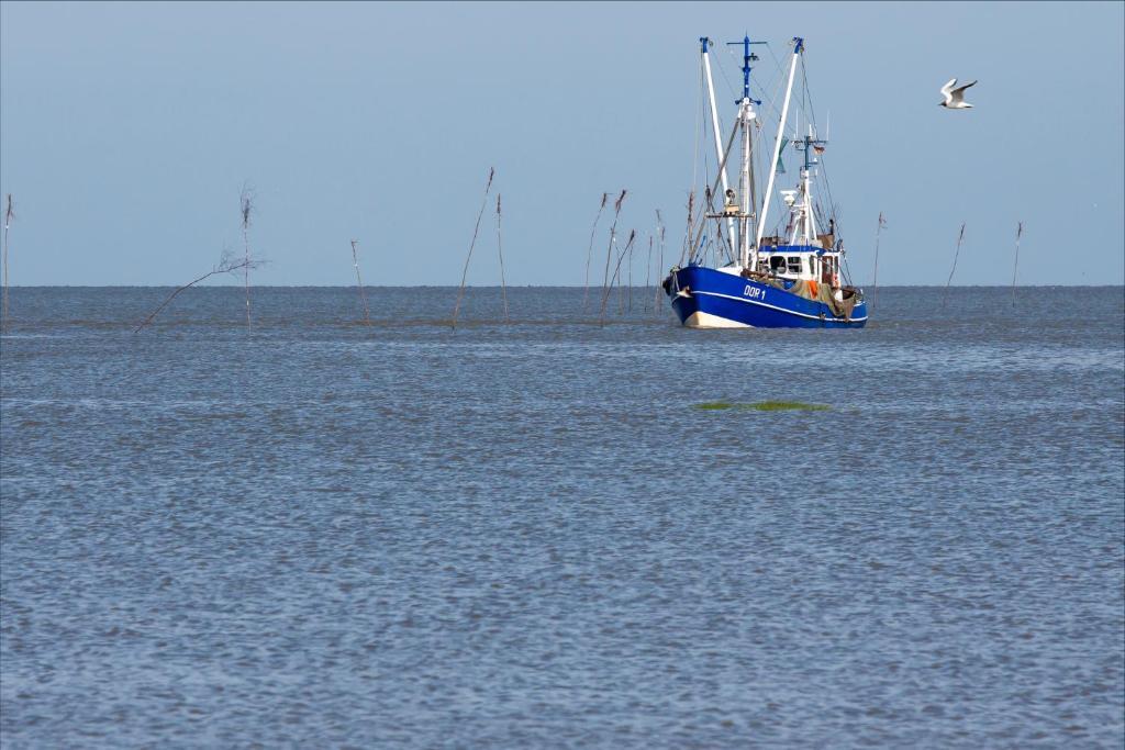 Cuxland-Ferienpark Nordseebad Dorum Дорум Екстериор снимка